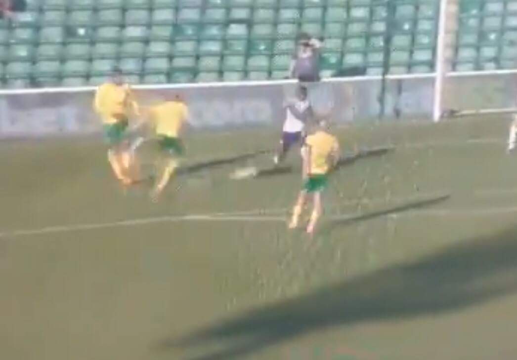 Płacheta z premierową bramką w Norwich City [WIDEO] Zdjęcie główne wpisu