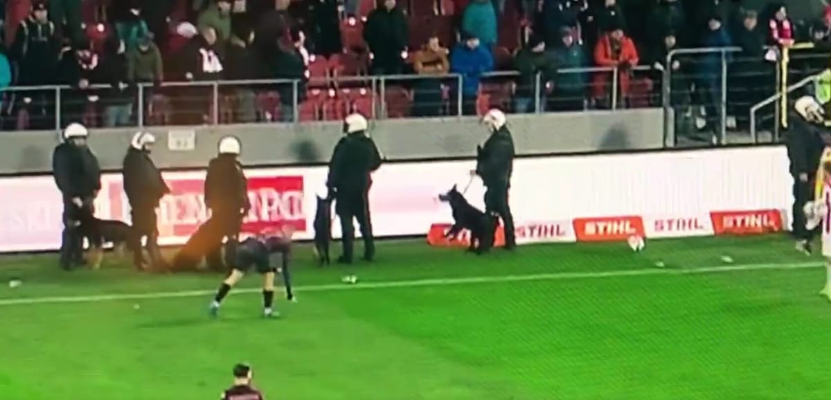 Komiczna sytuacja podczas meczu w Krakowie. Psy przy linii bocznej [WIDEO] Zdjęcie główne wpisu