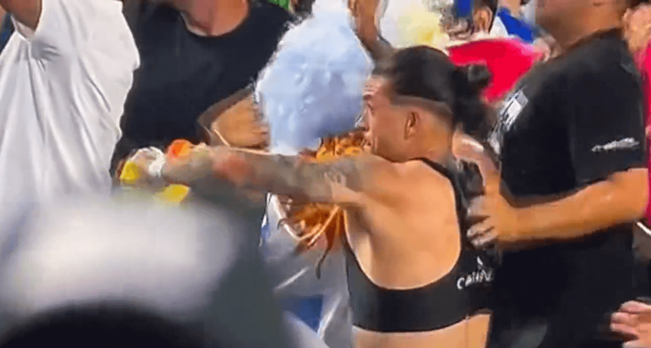 Ogromny skandal po półfinale Copa America. Darwin Nunez wdał się w bójkę z kibicami [WIDEO] Zdjęcie główne wpisu