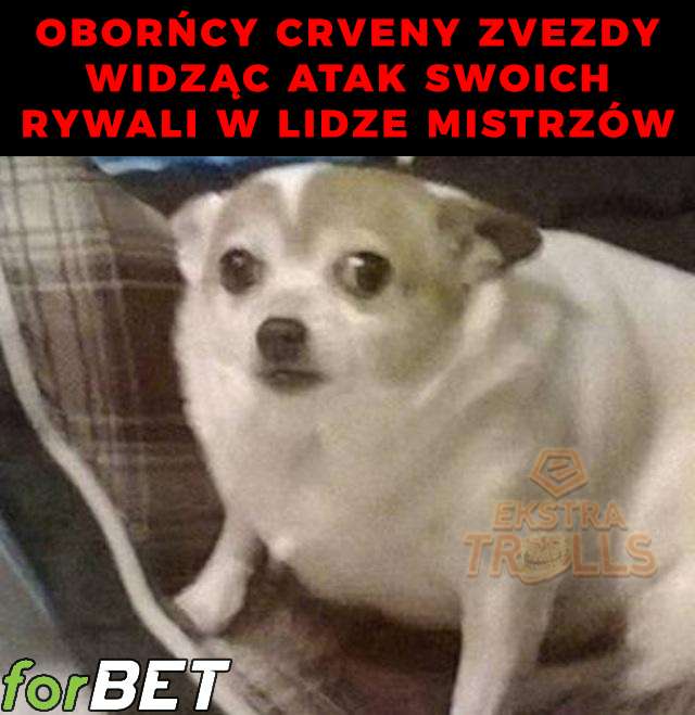 Obrońcy Crveny nie będą mieli lekko… Obraz wpisu