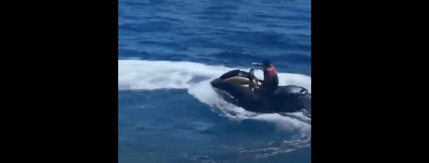 Ronaldo Junior ma problemy z prawem? Sprawę bada policja Obraz wpisu