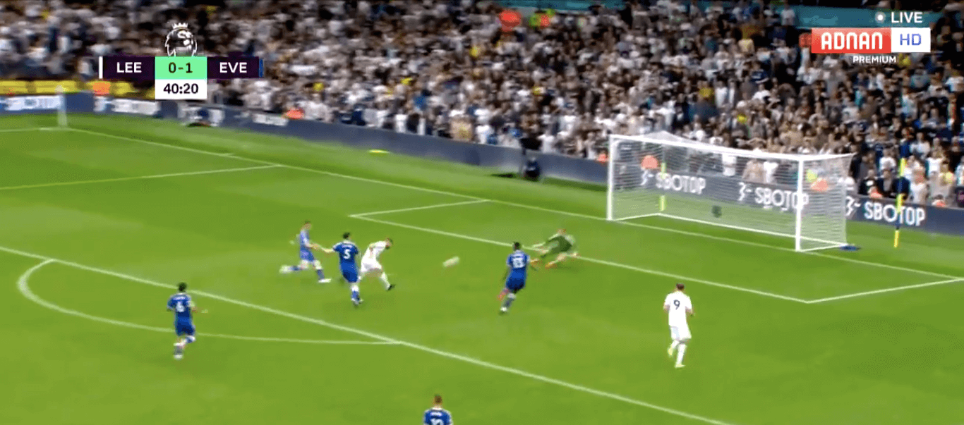 Mateusz Klich z golem! Leeds remisuje z Evertonem [WIDEO] Obraz wpisu