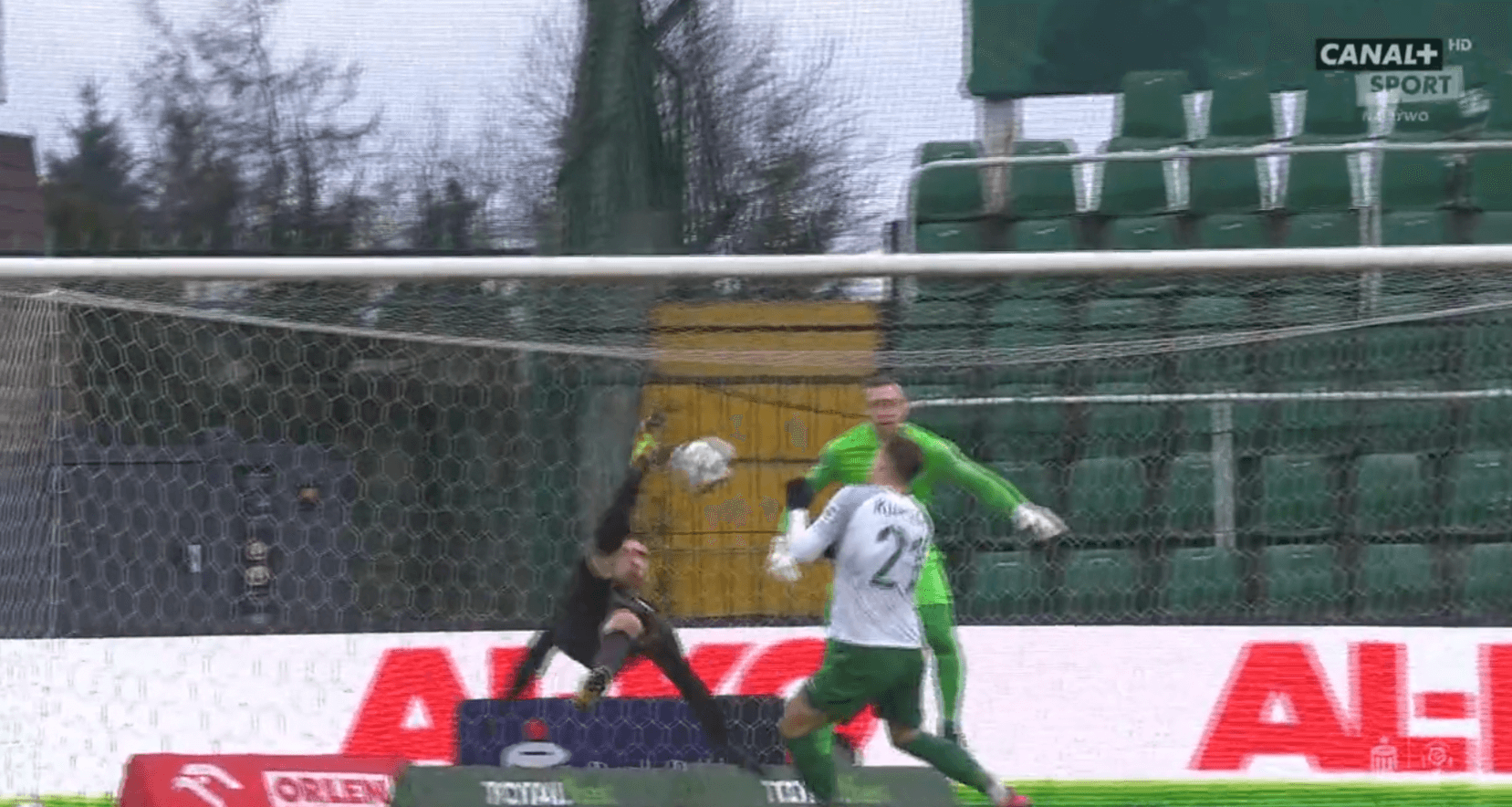 Śpiączka z przewrotki! Lis się nie popisał [WIDEO] Obraz wpisu