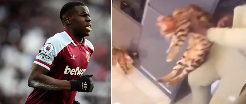 Kurt Zouma ostro przeskrobał. Wyciekł film, na którym widać, jak znęca się nad kotem [WIDEO] Obraz wpisu