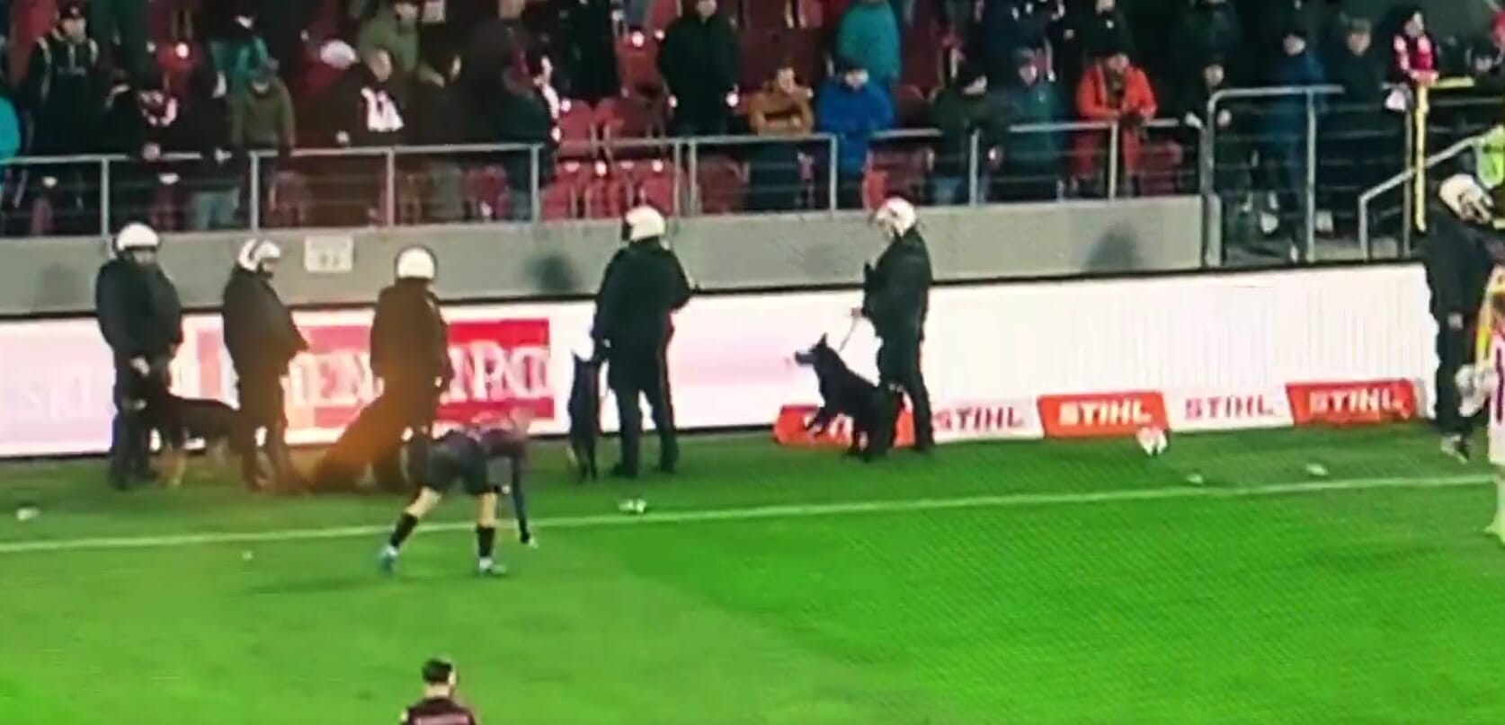Komiczna sytuacja podczas meczu w Krakowie. Psy przy linii bocznej [WIDEO] Obraz wpisu