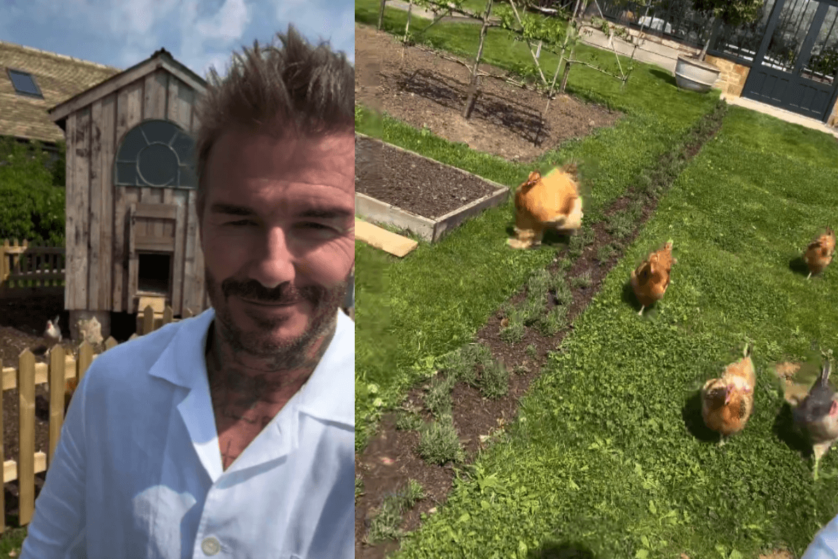 Beckham pokazał uroki życia po karierze. Niespodziewane hobby Anglika [WIDEO] Obraz wpisu