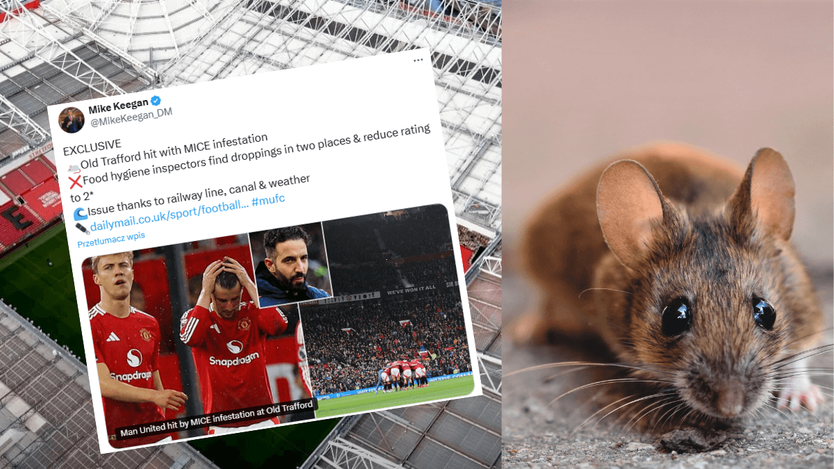 Manchester United pod lupą inspektorów higieny. Na Old Trafford znaleziono gryzonie! Obraz wpisu