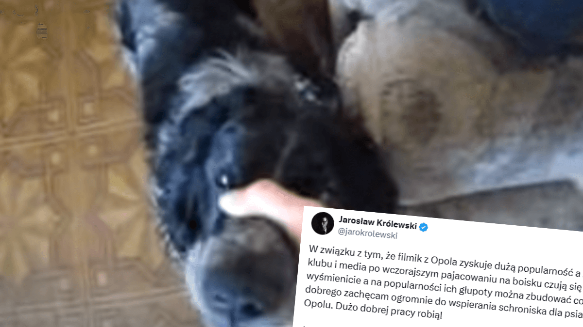 Twitterowa przepychanka z udziałem Odry Opole i Jarosława Królewskiego. Prezes Wisły chce to obrócić w coś dobrego Obraz wpisu